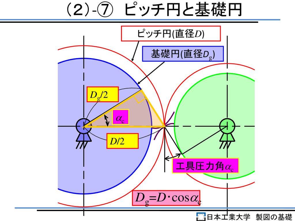 （２）-⑦ ピッチ円と基礎円 Dg=D･cosac ピッチ円(直径D) 基礎円(直径Dg) Dg/2 ac D/2 工具圧力角ac