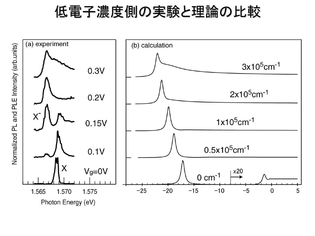 低電子濃度側の実験と理論の比較