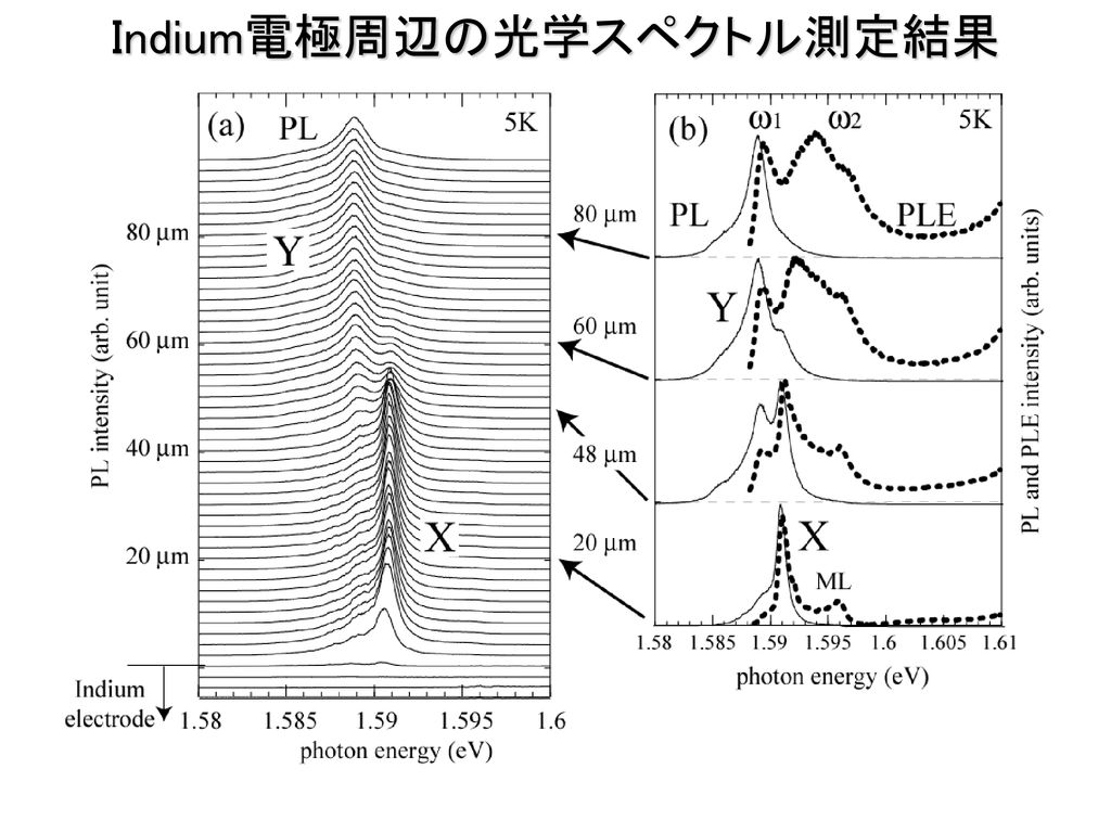 Indium電極周辺の光学スペクトル測定結果