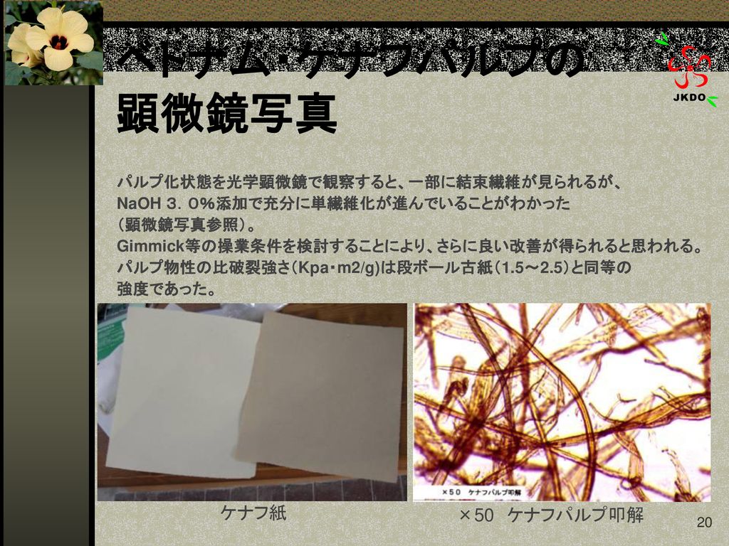 ベトナム国タイニン省６００ヘクタールに おける世界初のケナフ栽培と環境にやさしい パルプ製造工場の設置について Ppt Download