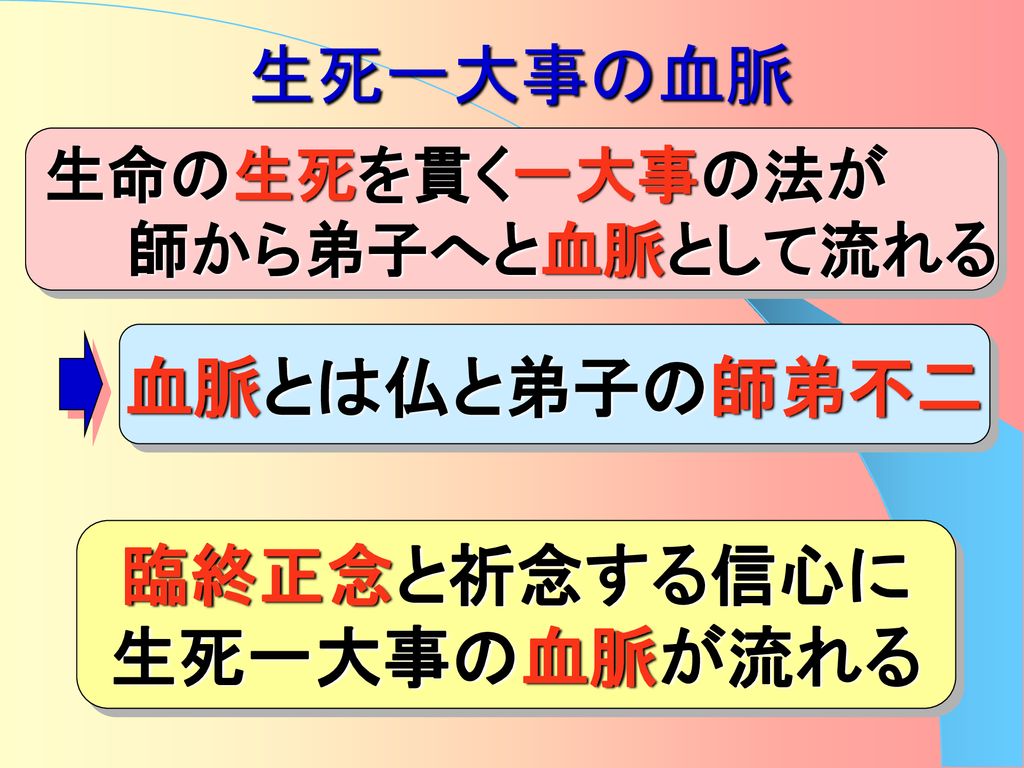 ２月度座談会 生死一大事血脈抄 地区 ２月度座談会 生死一大事血脈抄 地区 背景と大意 文永９年 ５１歳 在 佐渡 対告衆 最蓮房 元天台宗学僧 異体同心の信心に血脈が流れる 大信力の題目 祈念に血脈が流れる 文永９年 ５１歳 在 佐渡 対告衆 最蓮房 元