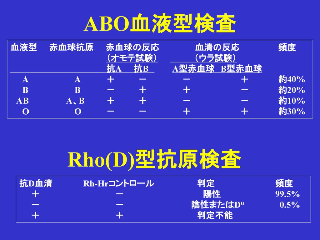 ABO血液型検査 Rho(D)型抗原検査 血液型 赤血球抗原 赤血球の反応 血清の反応 頻度 （オモテ試験） （ウラ試験）