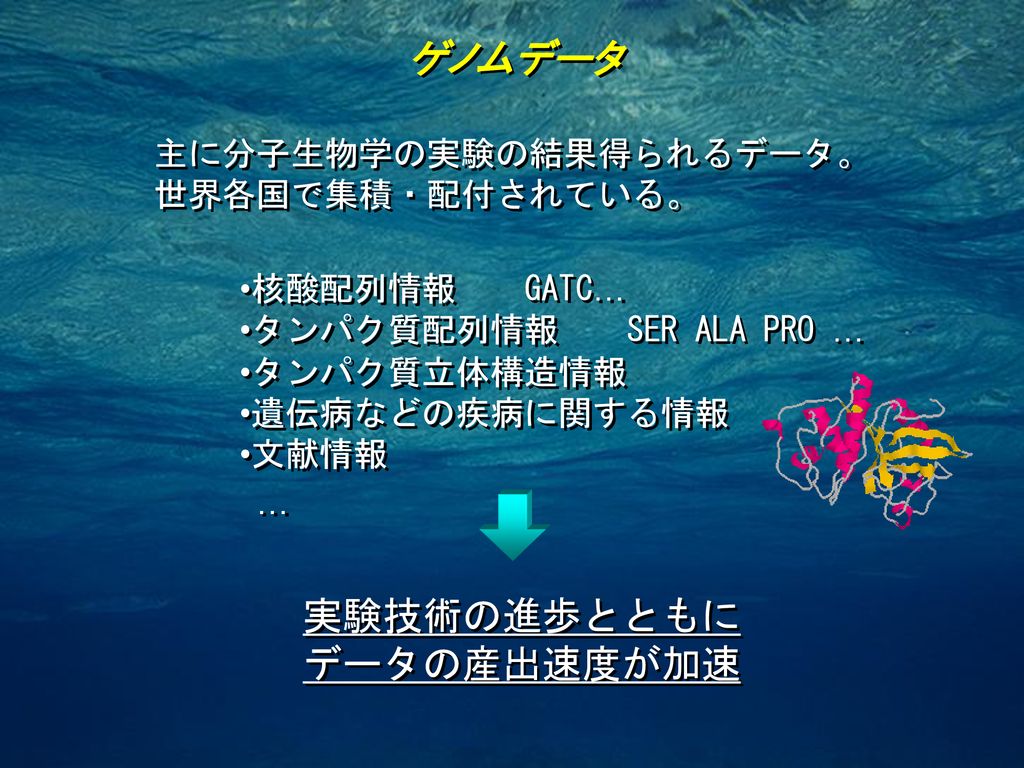 ゲノムネットについて 北陸先端科学技術大学院大学 知識科学研究科 佐藤賢二 Ppt Download