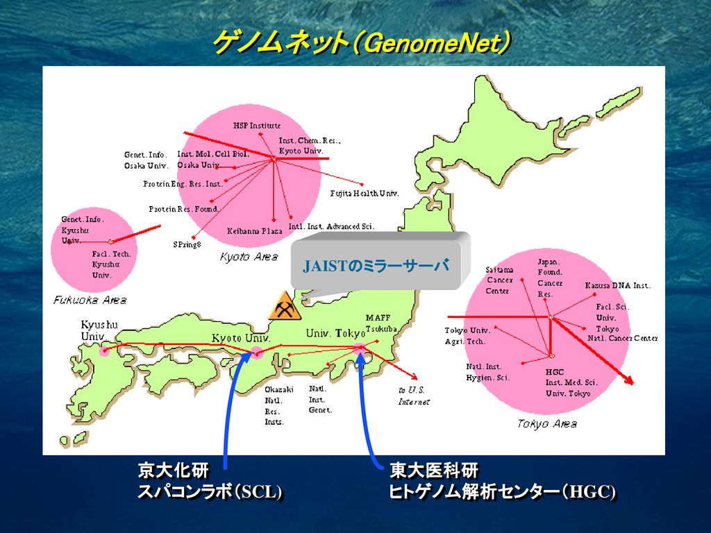 ゲノムネットについて 北陸先端科学技術大学院大学 知識科学研究科 佐藤賢二. - Ppt Download