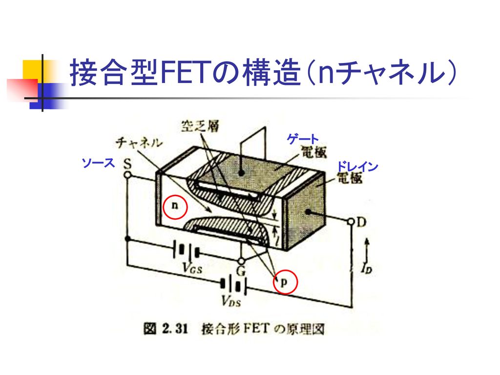 接合型FETの構造（nチャネル） ゲート ソース ドレイン