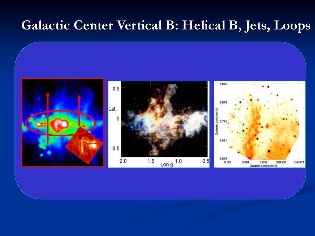 Primordial Origin of Magnetic Fields in the Galaxy & Galaxies - Tight ...