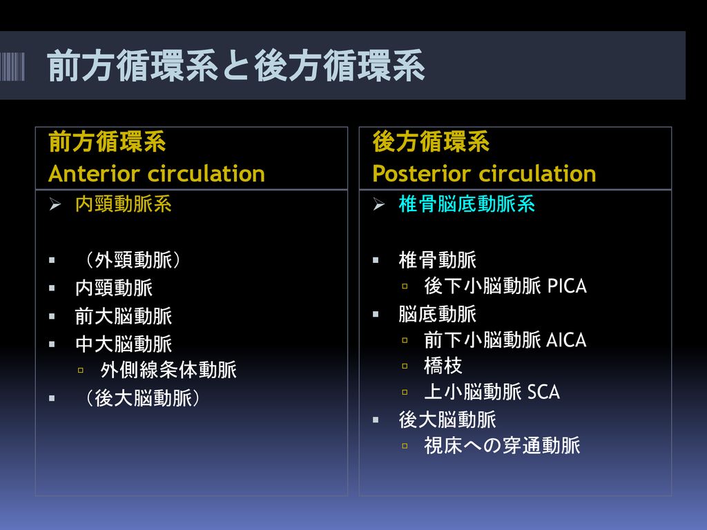 前方循環系と後方循環系 前方循環系 Anterior circulation 後方循環系 Posterior circulation