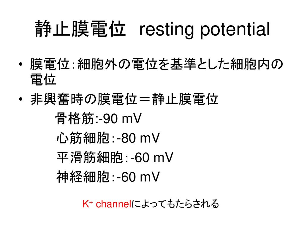 静止膜電位 resting potential