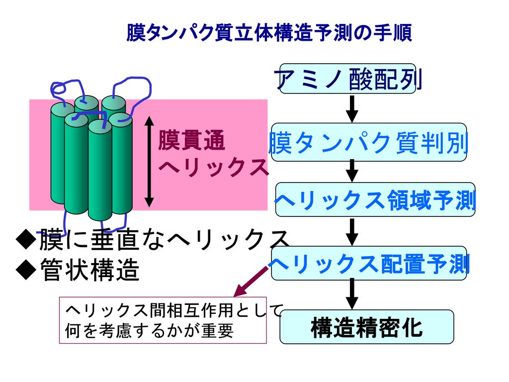 膜タンパク質の 立体構造予測 Ppt Download