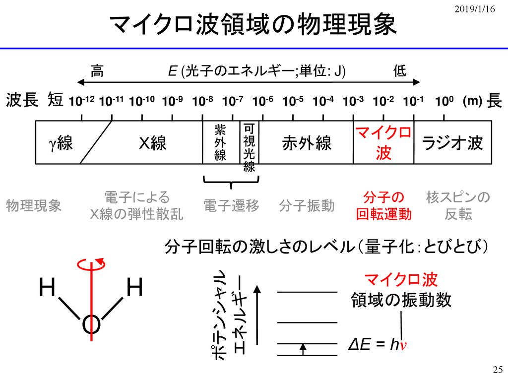 保障できる】 ３DSポケモンソフトまとめ売り 激レア 生体分子の分析