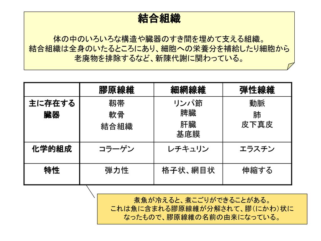 アザン染色 Azan Stain 結合組織の染色 Ppt Download