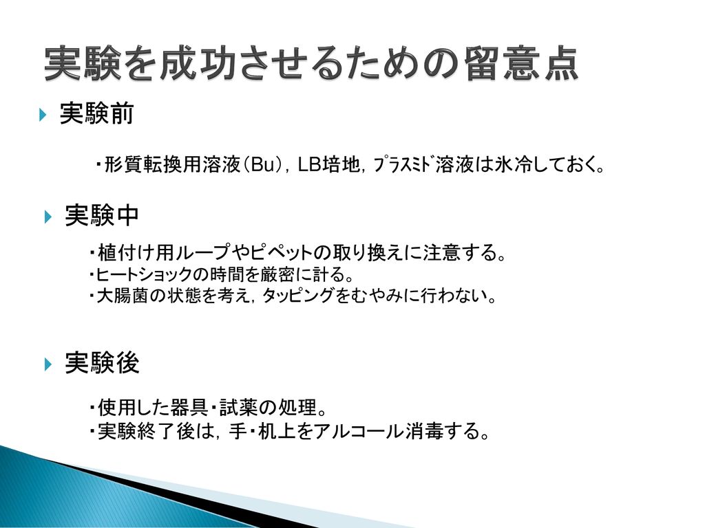 形質転換 実施 11年12月 Ppt Download