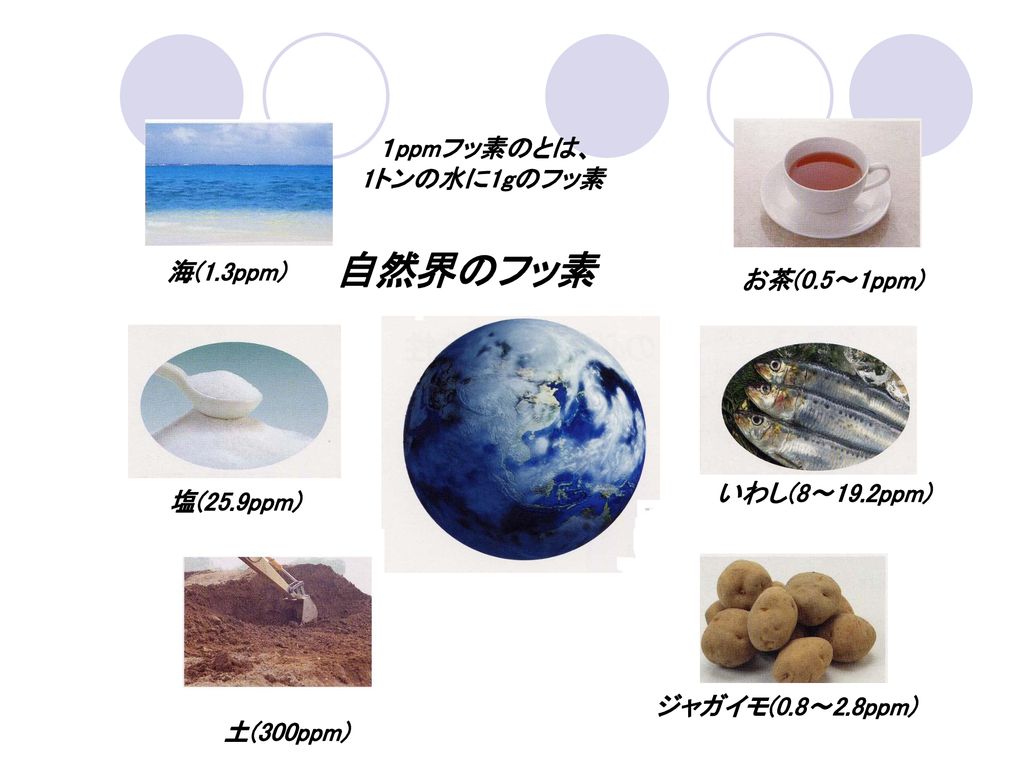自然界のフッ素 １ppmフッ素のとは、 1トンの水に1gのフッ素 海(1.3ppm) お茶(0.5～1ppm) いわし(8～19.2ppm)