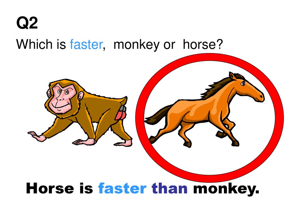Q2 Which is faster, monkey or horse Horse is faster than monkey.