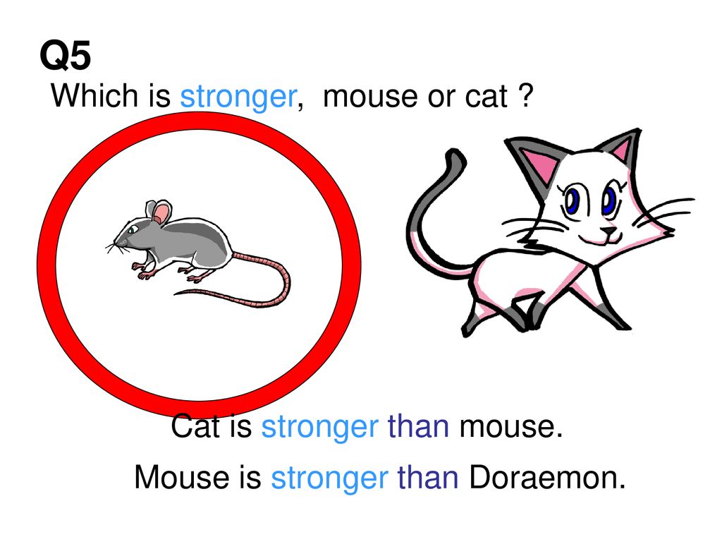 Q5 Which is stronger, mouse or cat Cat is stronger than mouse.