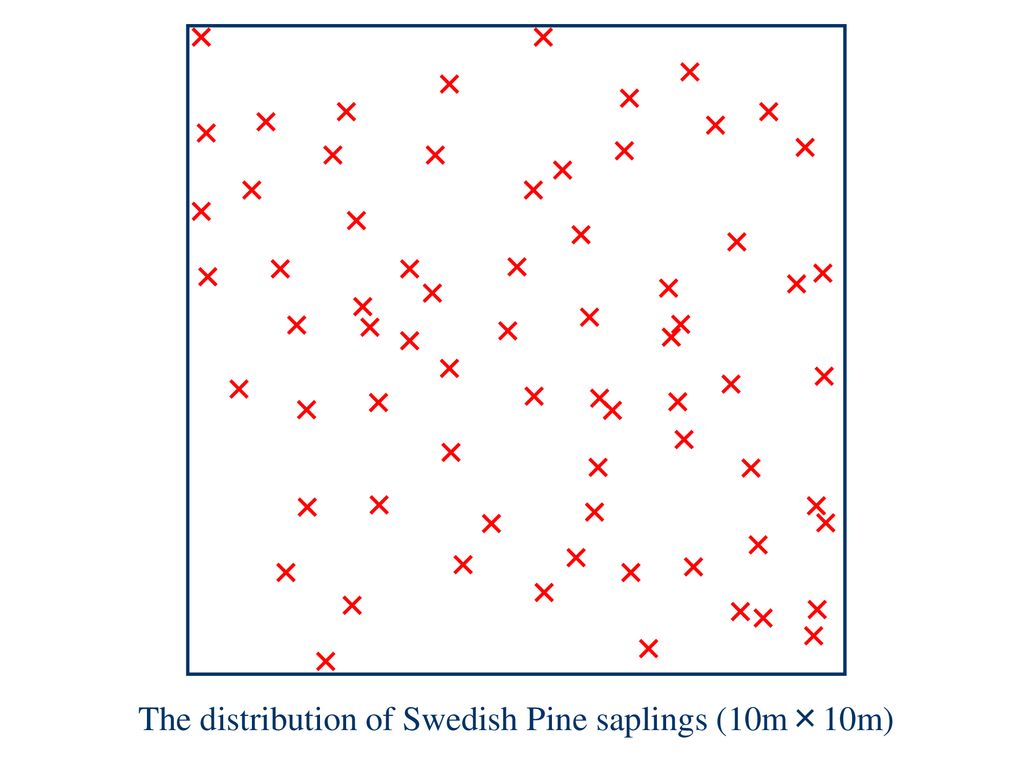 The distribution of Swedish Pine saplings (10m×10m)
