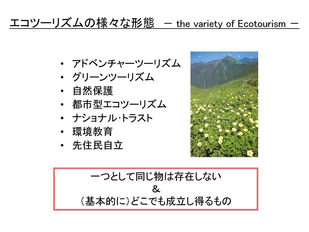 エコツーリズムの様々な形態 － the variety of Ecotourism －