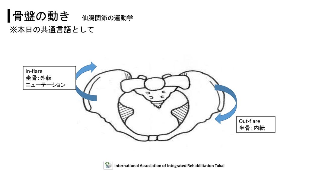 International Association of Integrated Rehabilitation Tokai