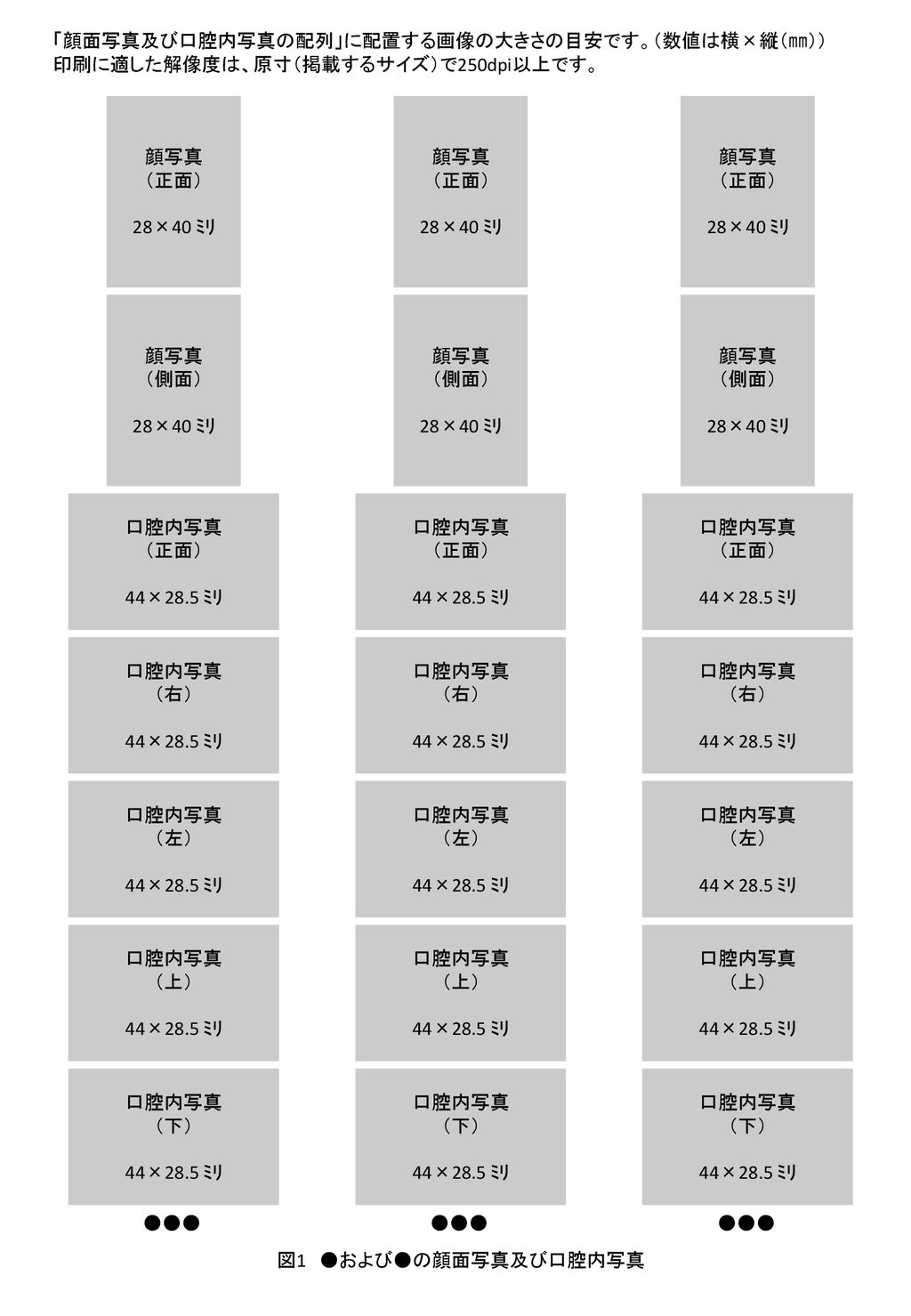 顔面写真及び口腔内写真の配列 に配置する画像の大きさの目安です 数値は横 縦 Ppt Download