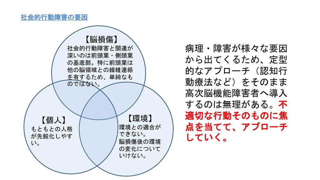 講義 実践報告 行動障害を有する高次脳機能障害者への支援実践 Ppt Download