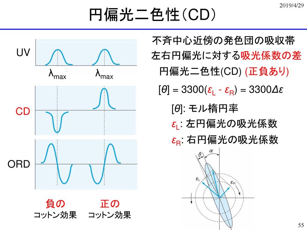 円偏光二色性（CD） 不斉中心近傍の発色団の吸収帯 UV 左右円偏光に対する吸光係数の差 円偏光二色性(CD) (正負あり) λmax