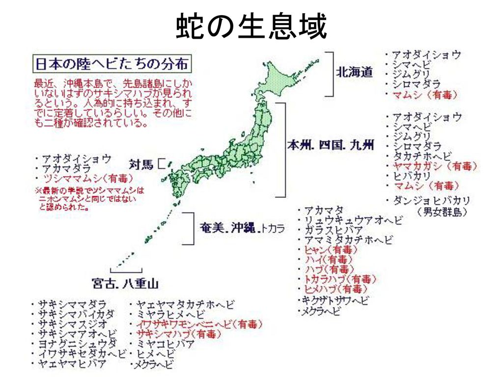 森の妖精 班員 福田由香 本間小百合 藤田夏子 松田桃佳 源康治 班員 福田由香 本間小百合 藤田夏子 松田桃佳 源康治 Ppt Download