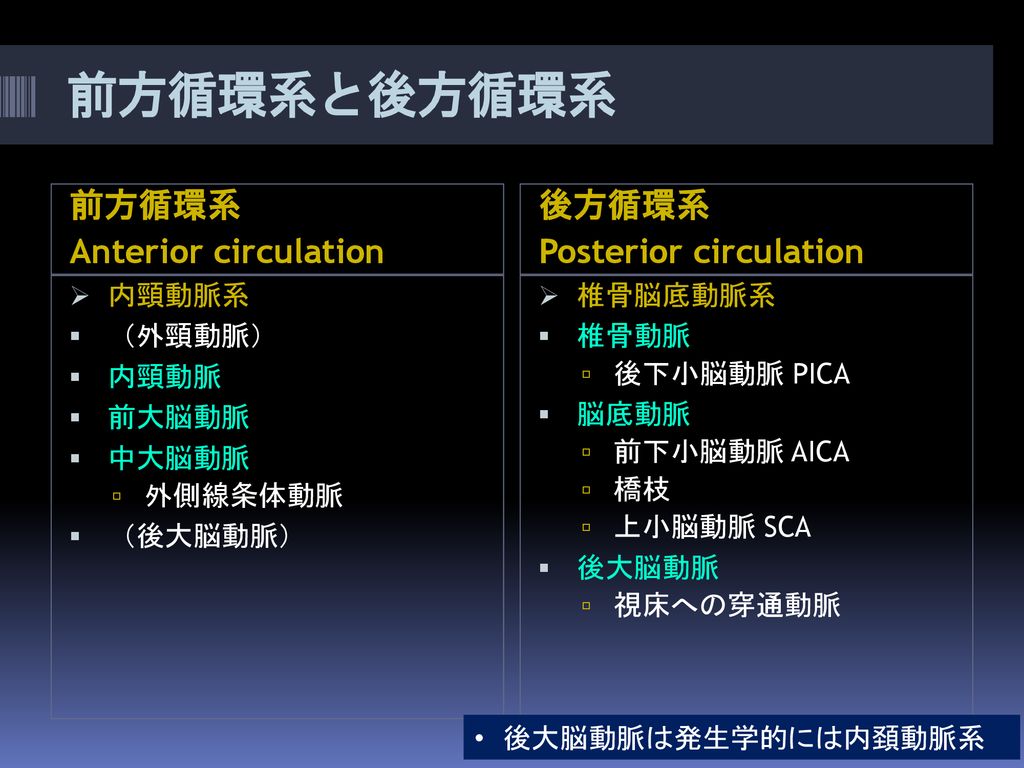 前方循環系と後方循環系 前方循環系 Anterior circulation 後方循環系 Posterior circulation
