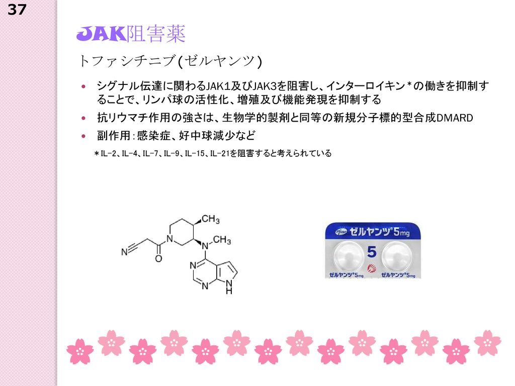 JAK阻害薬 37 トファシチニブ(ゼルヤンツ)