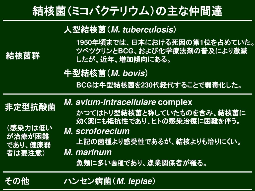 3 食肉センターにおける衛生管理の進め方 法的検査 自主衛生管理 Ppt Download