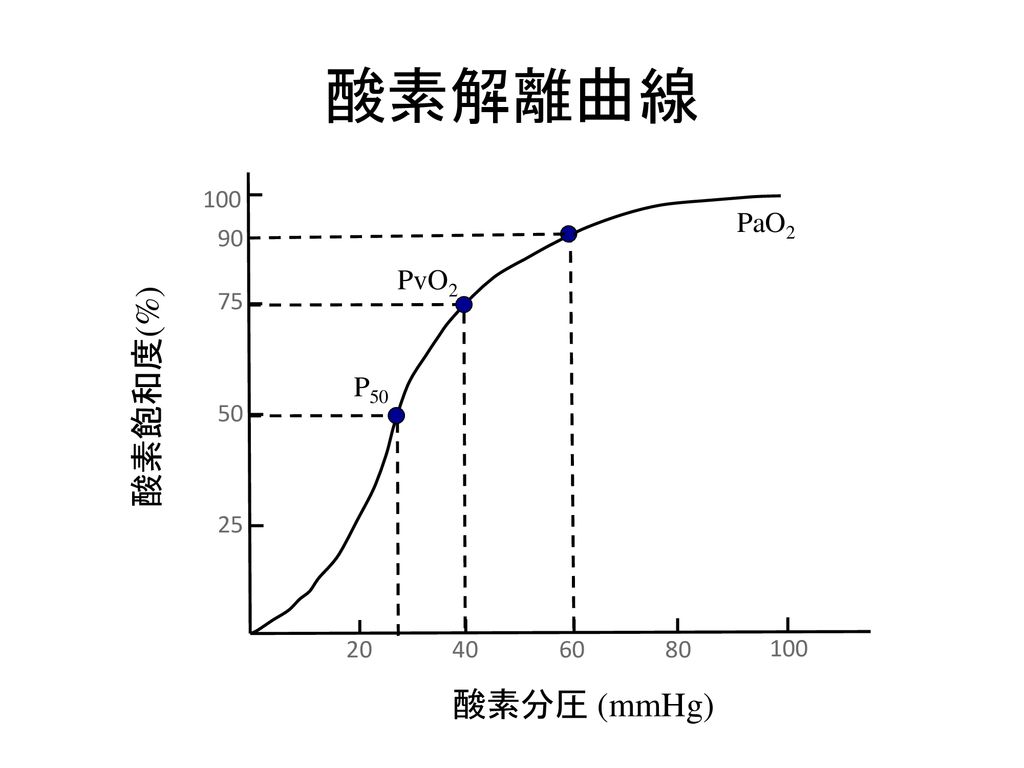 酸素解離曲線 酸素飽和度(%) 酸素分圧 (mmHg) PaO2 PvO2 P