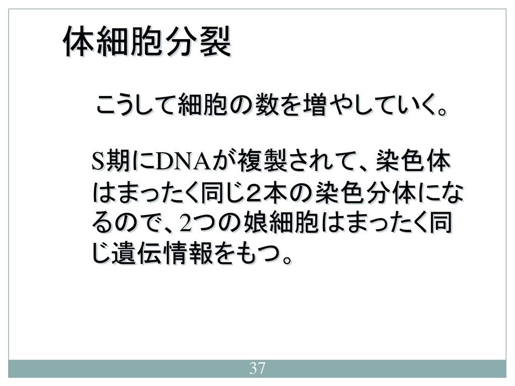 生物学 第10回 多細胞生物への道 ー細胞の数を増やす 和田 勝 Ppt Download