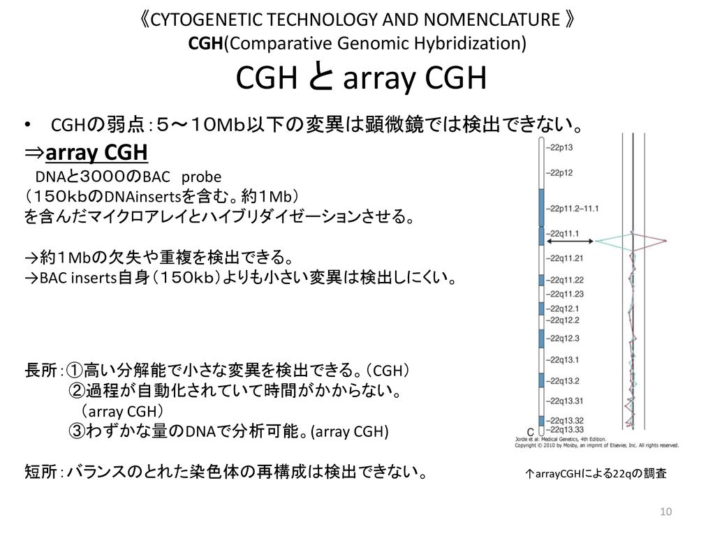 《CYTOGENETIC TECHNOLOGY AND NOMENCLATURE 》 CGH(Comparative Genomic Hybridization) CGH と array CGH
