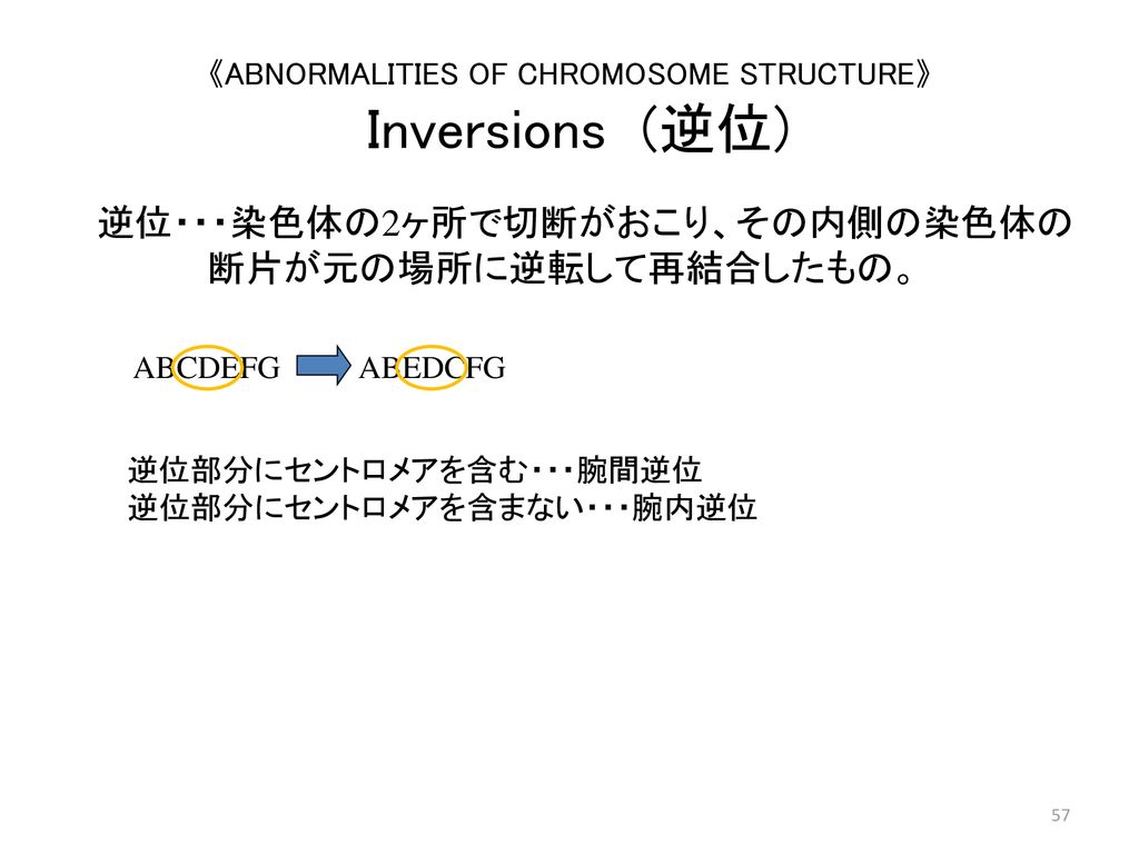 《ABNORMALITIES OF CHROMOSOME STRUCTURE》 Inversions (逆位)