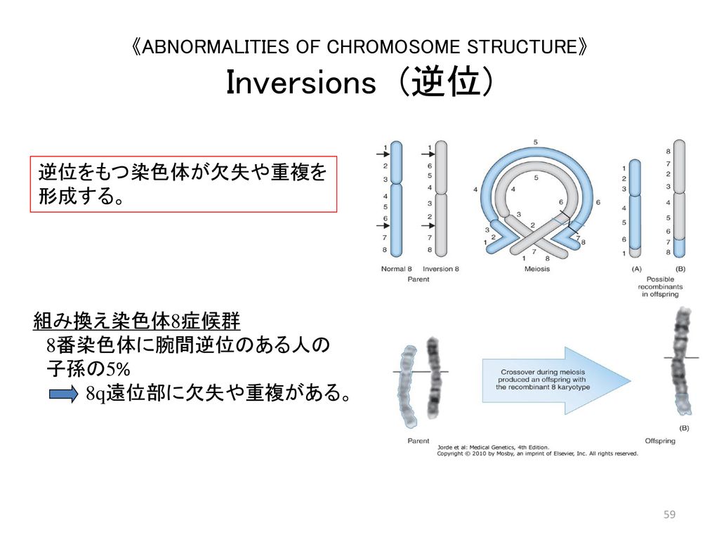《ABNORMALITIES OF CHROMOSOME STRUCTURE》