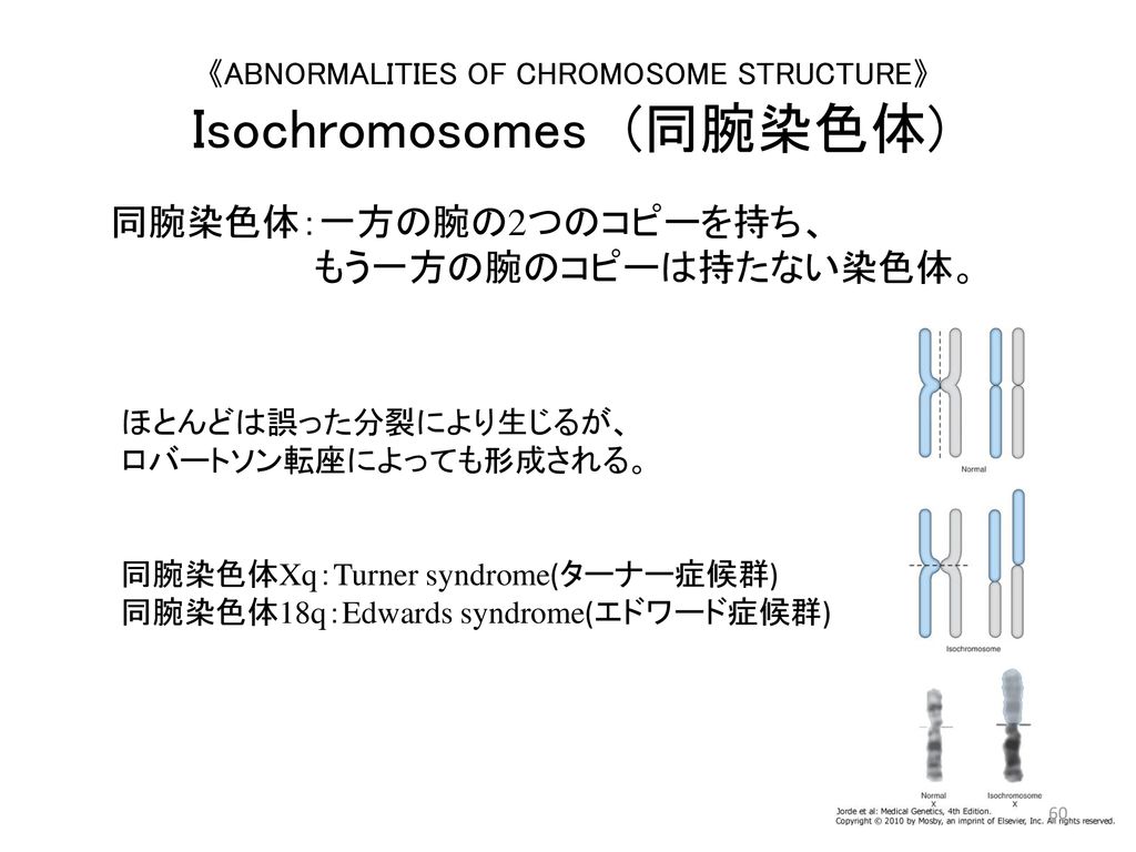 《ABNORMALITIES OF CHROMOSOME STRUCTURE》 Isochromosomes (同腕染色体)
