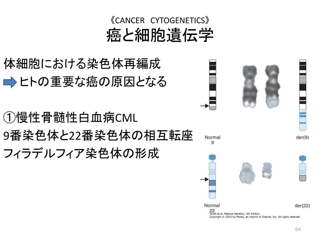 《CANCER CYTOGENETICS》 癌と細胞遺伝学