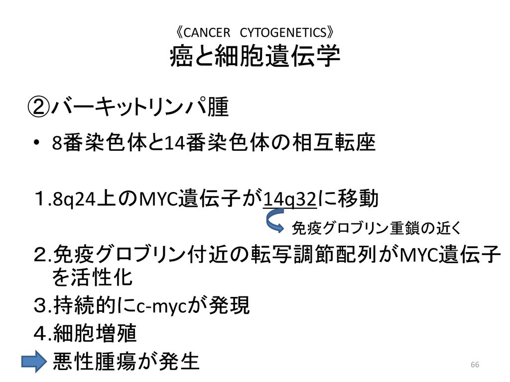 《CANCER CYTOGENETICS》