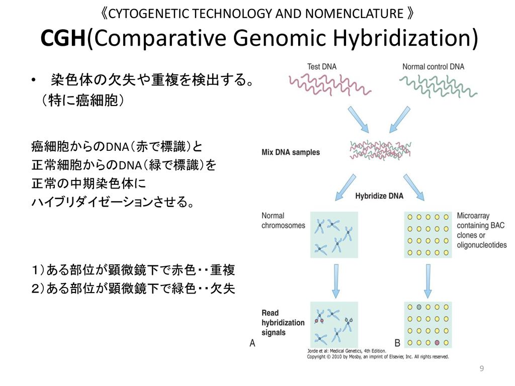 《CYTOGENETIC TECHNOLOGY AND NOMENCLATURE 》 CGH(Comparative Genomic Hybridization)
